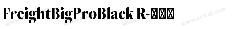 FreightBigProBlack R字体转换